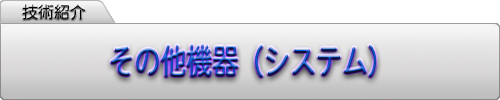 ̑@iVXej